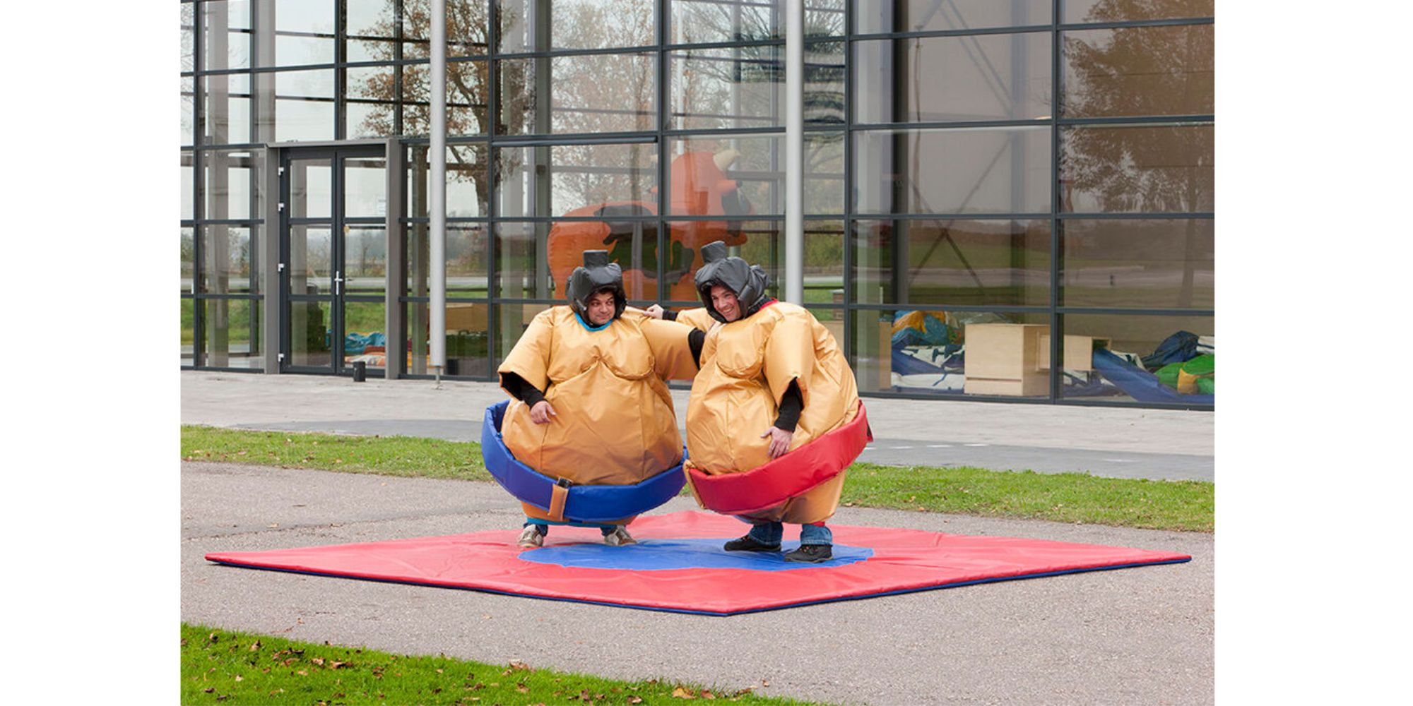 Sumo adultes
